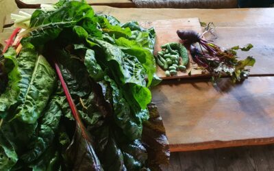 Kochduell im Ukranenland am Herrentag